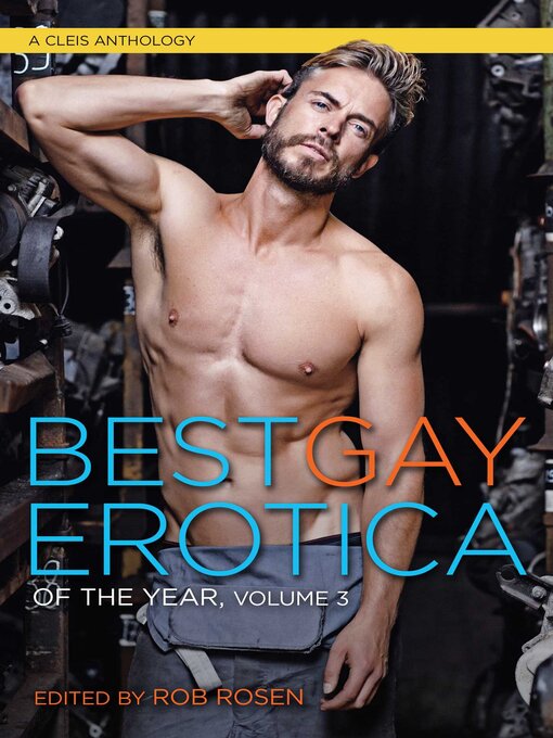 Title details for Best Gay Erotica of the Year, Volume 3 by Rob Rosen - Wait list